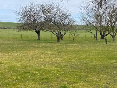 vente terrain 1000 m² à corzé (49140)  79 900 €