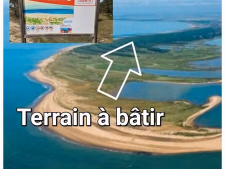 terrain (s) à bâtir en lisière de forêt