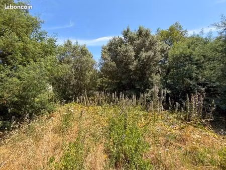 terrain 1 230 m² cavalaire sur mer