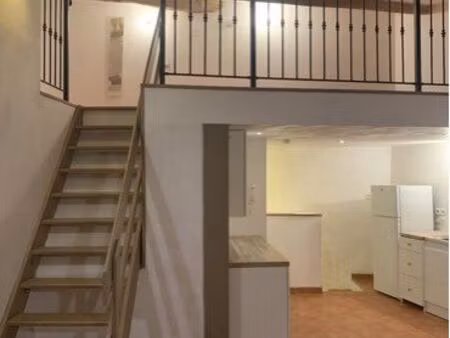 appartement t2 + grande mezzanine