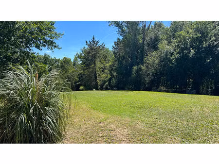 terrain la salvetat st gilles 3490 m2