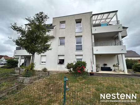 appartement 2 pièces - 51 m² - niederschaeffolsheim