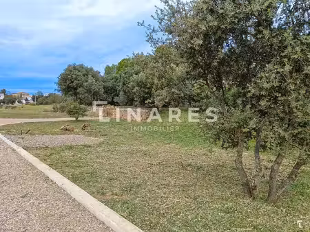 mon projet 3 - terrain à bâtir de 804m2 - 13490 jouques