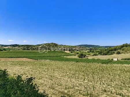 terrain de 10 175 m² à pauligne