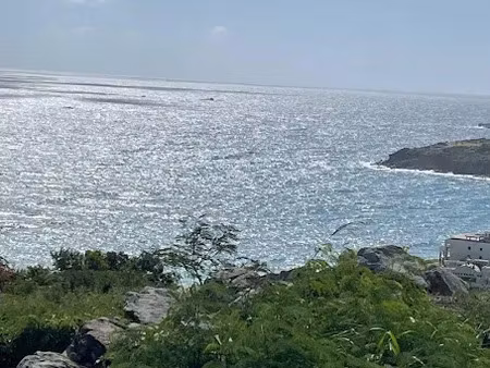 vente terrain 1467 m² à saint-martin (97150)  391 000 €