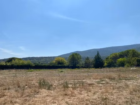 vente terrain 1320 m² à brissac (34190)  167 000 €