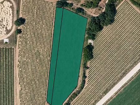 parcelle agricole