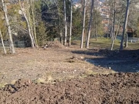 immobilier terrain