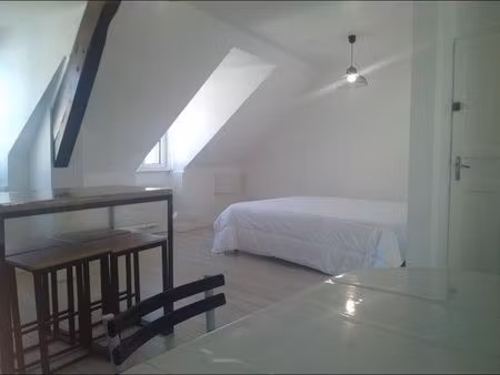 appartement lumineux plein centre ville