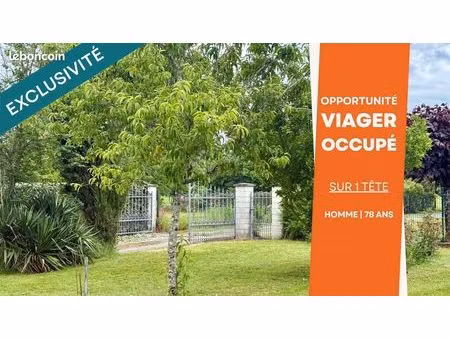 maison 7 pièces 219 m²