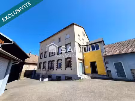 vente immeuble 0 pièces 450 m² à sainte-marie-aux-mines (68160)  369 000 €