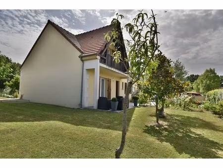 maison à vendre 8 pièces leves (28)