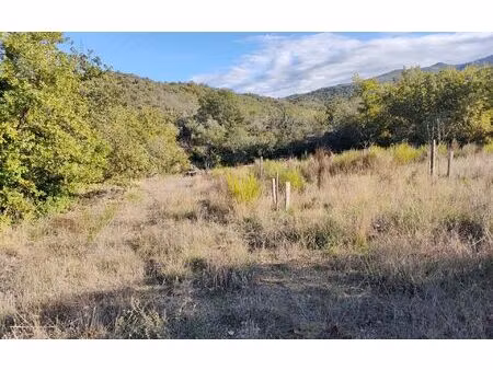 terrain rodès m² t- à vendre  6 000 €