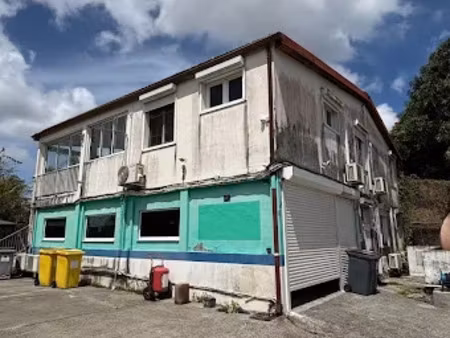 location immeuble 250 m² à riviere salee (97215)  4 000 €