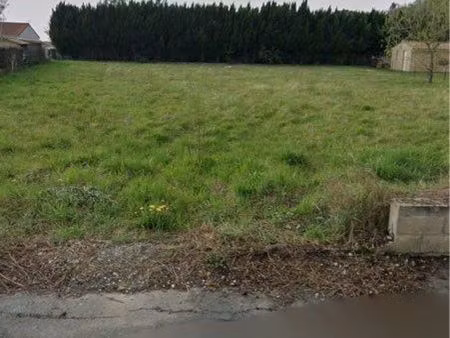 terrain constructible