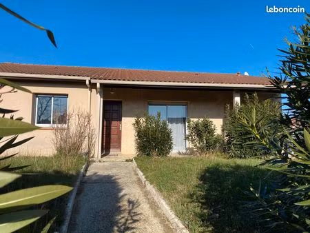 location maison t5 tournefeuille