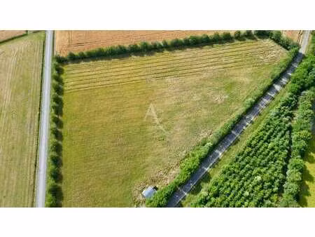 vente terrain à château-gontier-sur-mayenne (53200) : à vendre / château-gontier-sur-mayen