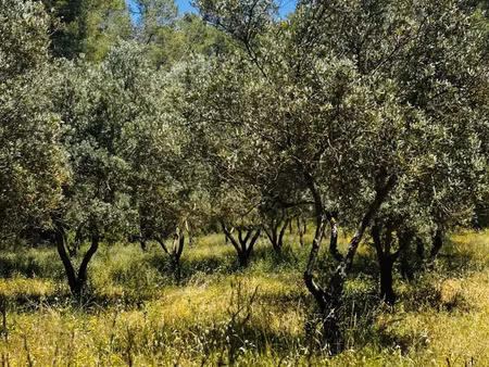 terrain agricole à callas (83830)