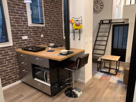 studio meublé 22 m² + 5 m² avec espace nuit proche rer b (et future ligne 15)