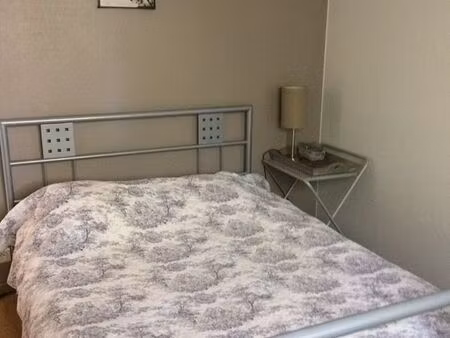 f2 meublé de 46m2 pau facs pkg ss sol 689e