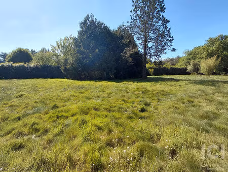 terrain sautron 2746 m²