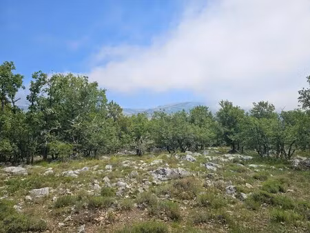 terrain de loisirs avec vue dégagée sur les montagnes