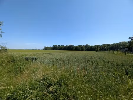 réf. 2272 - terrain constructible 1661m²
