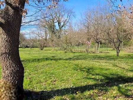 terrain 2410m2