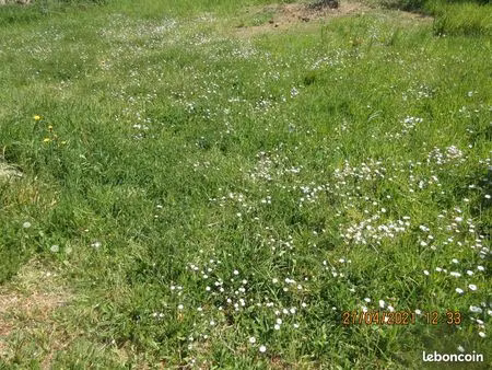 terrain agricole