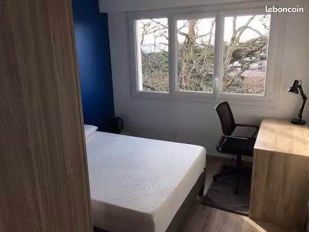 chambre dans appartement meublé et rénové