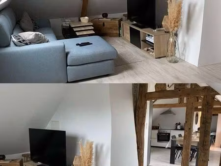 appartement de charme - t2 de 102m2 au sol et 39m2 en loi carrez