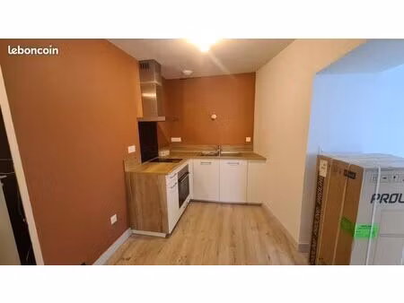 t2 de 52 m² avec terrasse en centre-ville