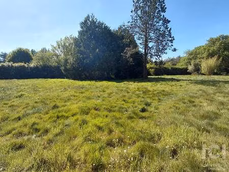 vente terrain piscine à sautron (44880) : à vendre piscine / 2746m² sautron