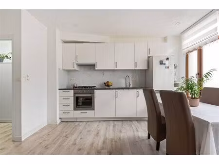 appartement à louer à golfstraat 7 hoboken (rbw24054)