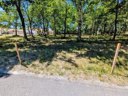 terrain belin beliet 472m2
