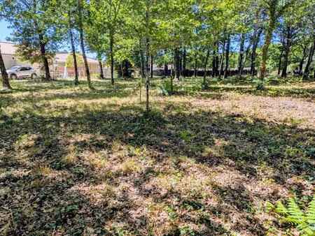 terrain belin beliet 578 m2