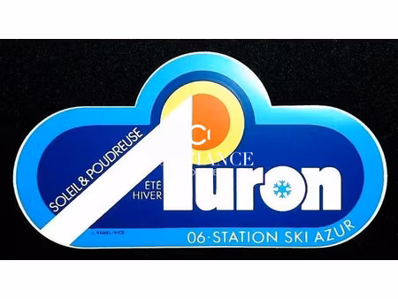 (06660) au coeur d'auron murs commerciaux libres renoves garag