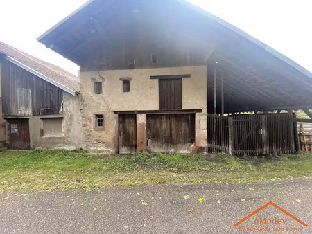 vente maison 2 pièces 1 m² à sainte-marguerite (88100)  50 000 €