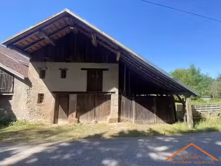 vente maison 2 pièces 1 m² à saulcy-sur-meurthe (88580)  40 000 €