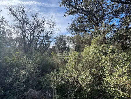 terrain 0 pièces 50000 m² à vendre / acheter mazan 84380 ? | era immobilier