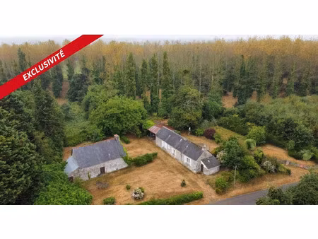 vente maison 3 pièces 116 m² à plouëc-du-trieux (22260)  135 000 €