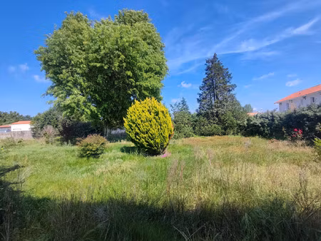 vente terrain 833 m² biscarrosse (40600)