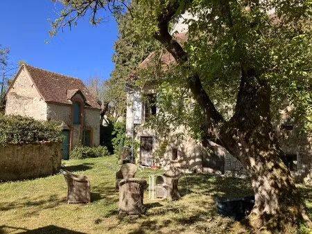 hôtel particulier mehun-sur-yèvre - 400m²