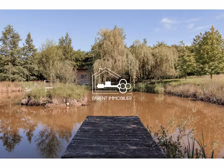 propriété d'exception en pleine nature maison  gîte  étang