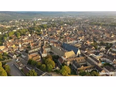 immeuble 350 m² beaune