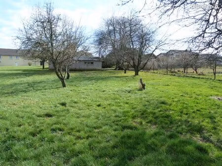terrain constructible
