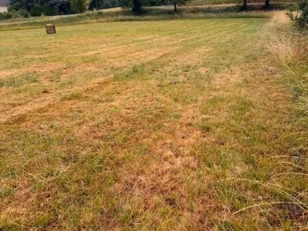 terrain constructible