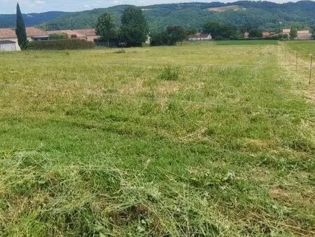 terrain constructible roquecourbe 81210
