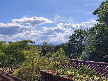 ensemble immobilier à fort potentiel 350 m² à rénover