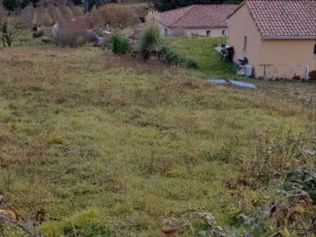 terrain constructible